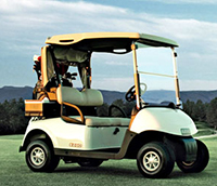 Kalliste Car