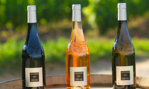 Vacanza in Corsica: viaggio tra i migliori vini del territorio