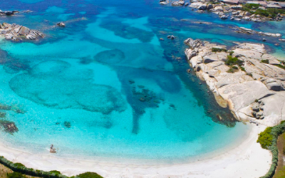 The 5 most beautiful beaches to visit on the island of Cavallo in Corsica