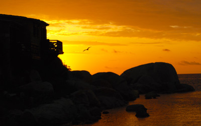 Romantic holiday in Corsica: 5 things to do on Cavallo island