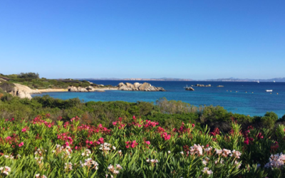 5 suggestions for capturing Cavallo Island Corsica