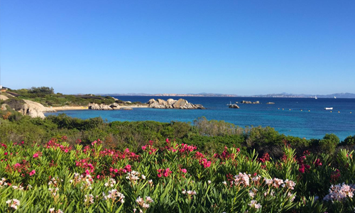 5 suggestions for capturing Cavallo Island Corsica